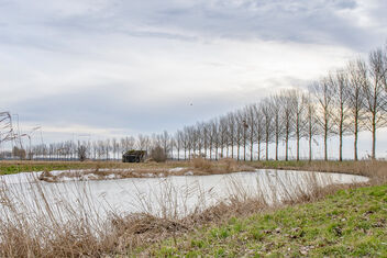 Winter theme, Noorderels river, Biesbosch, Dordrecht - Kostenloses image #478387