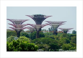 Supertree Observatory & OCBC Skyway - Kostenloses image #479387