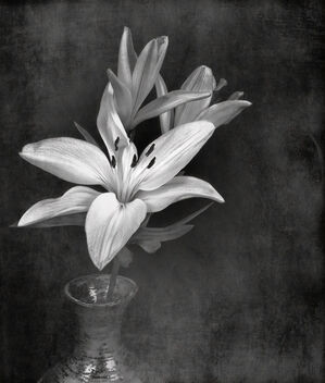 Vase with Lilies - Free image #479737