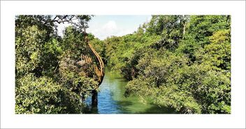 Sungei Buloh Wetland Reserve - бесплатный image #480507