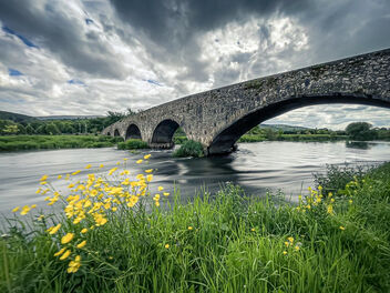 The Bridge, Clonmel, Ireland - Landscape photography - Free image #481127