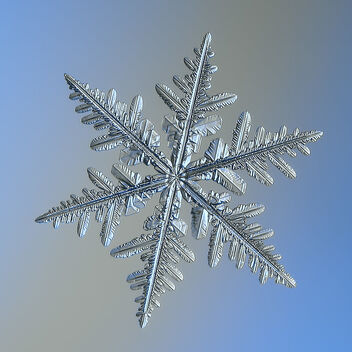 Snowflake - image #481147 gratis