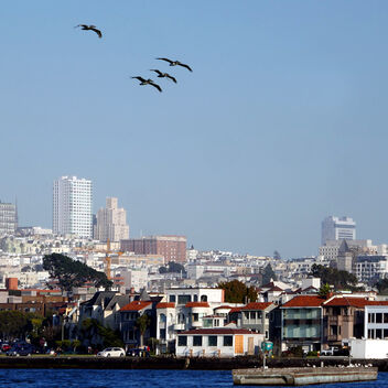 San Francisco, California, USA - бесплатный image #483167