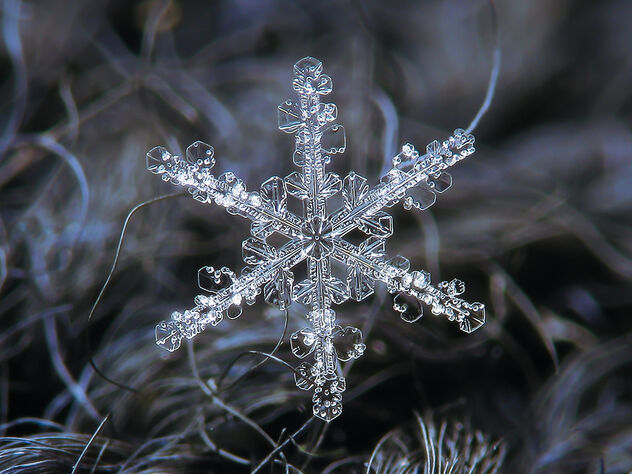 Snowflake - image #483697 gratis