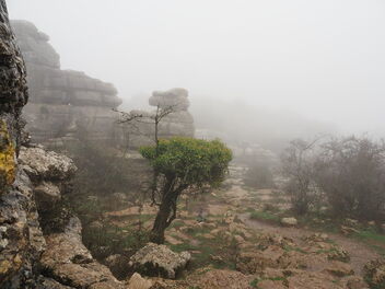 barren land in the mist - image gratuit #488397 