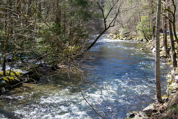 River in Smoky Mountains - Kostenloses image #488897