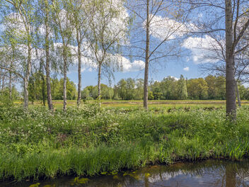Steinse Groen - Zuid-Holland - Nederland - image gratuit #489867 
