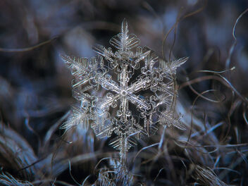 Snowflake - image #490037 gratis
