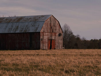 Just think about that barn With that hay so soft and warm - Free image #494207