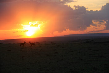 African sunset - image #497517 gratis