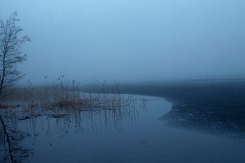 Mystical foggy evening - бесплатный image #498197