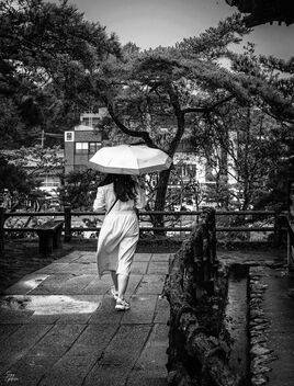 Rain in Matsushima - image #499967 gratis