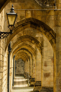 Week 31 (Winchester Cathedral) - Day 3 - columns & shadows - image gratuit #500147 