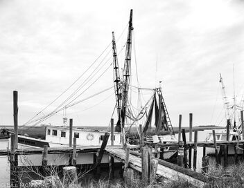 Shrimp Boats Beaufort South Carolina - Free image #503257
