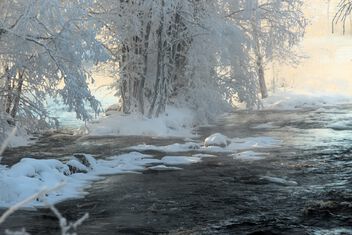 Winter view - бесплатный image #504057
