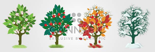 Vector illustration of colorful seasons trees on white background - Free vector #126447