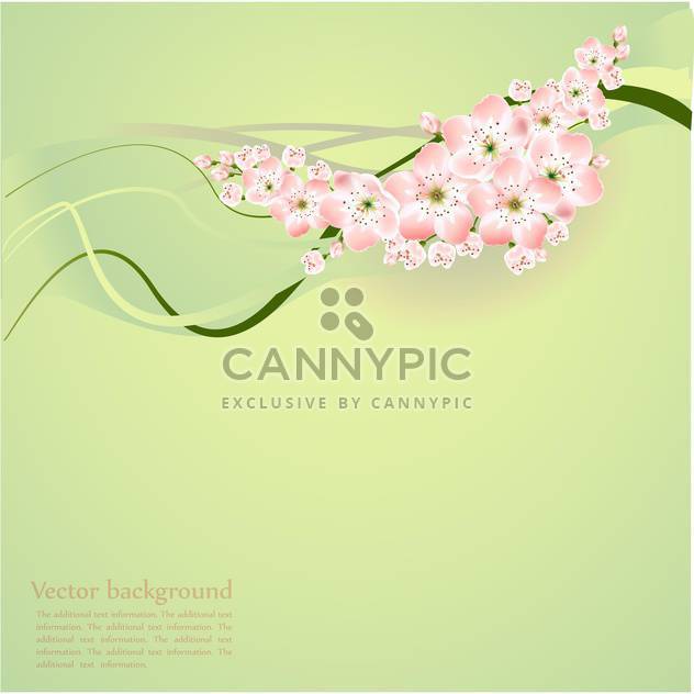 Spring background with beautiful spring flowers - бесплатный vector #127117