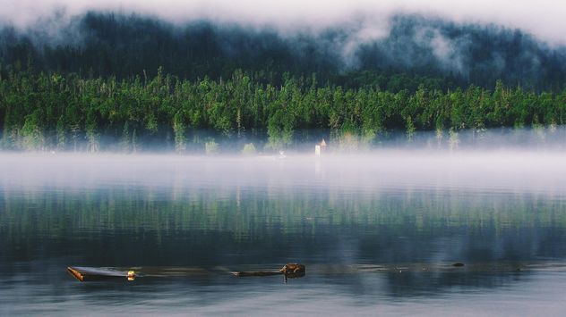 Fog on the lake in forest - image #136227 gratis