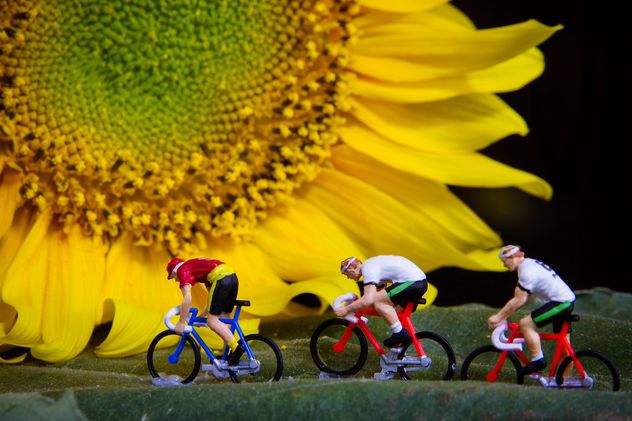 Miniature cyclists on green leaf and sunflower - image #136367 gratis