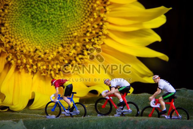 Miniature cyclists on green leaf and sunflower - Free image #136367