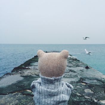 A bear is standing and thinking on the sea pier - image #136427 gratis