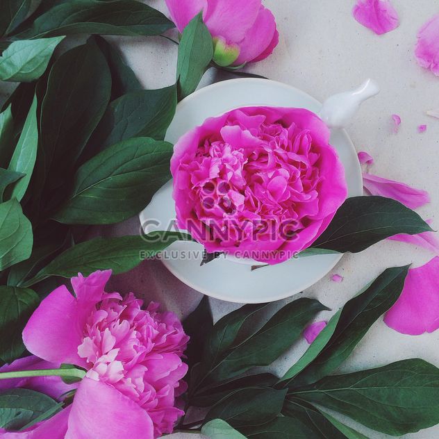 Beautiful pink peonies - Kostenloses image #136507