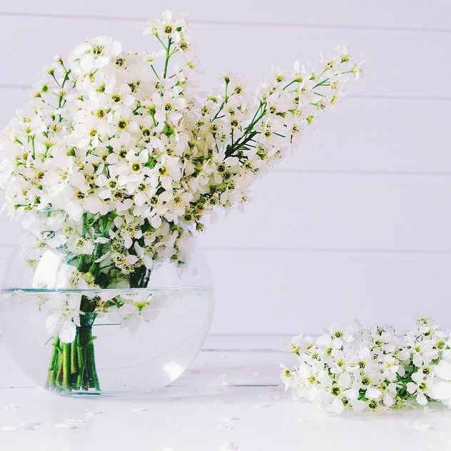 White lowers in vase - image gratuit #136557 