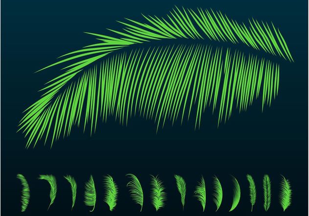 Palm Leaves Silhouettes - Kostenloses vector #146017