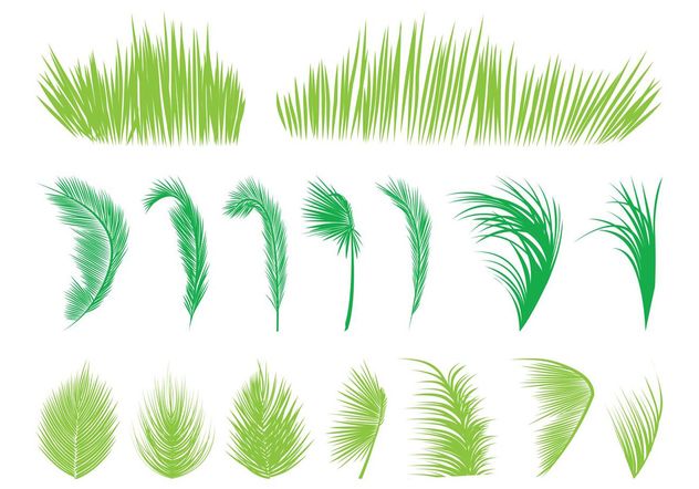 Palm Tree Leaves - Kostenloses vector #146027