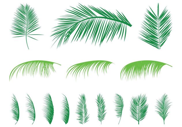 Palm Leaves Silhouettes Set - Kostenloses vector #146047
