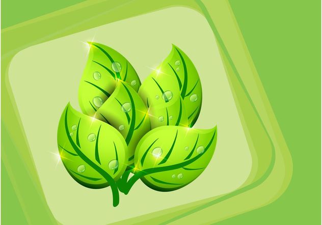 Vector Leaves - Free vector #146347