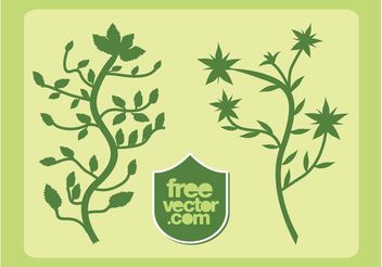 Plants Vector - бесплатный vector #146407