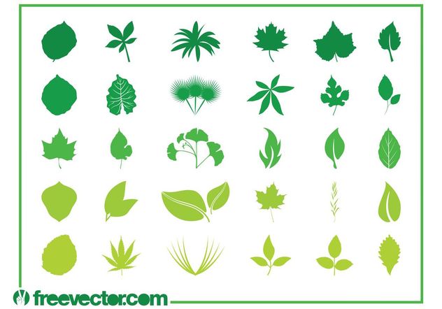 Leaves Graphics Set - Kostenloses vector #146457