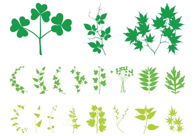Plant Leaves And Branches - Kostenloses vector #146497