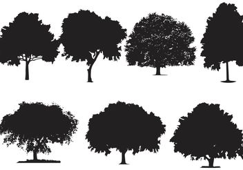 Oak Tree Silhouette Vectors - vector #146667 gratis