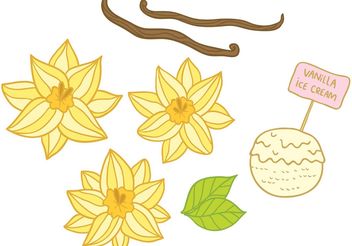 Hand Drawn Vanilla Flower Vectors - бесплатный vector #147617