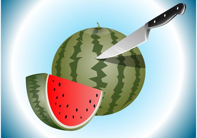 Watermelon Slices - vector #147847 gratis
