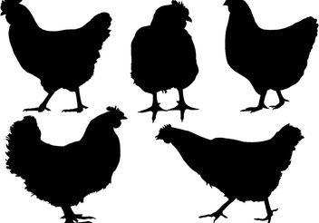 Free Chicken Silhouette Vector - Free vector #157807