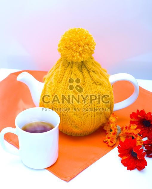 Teapot in knitted hat, cup of tea and flowers - image #182547 gratis