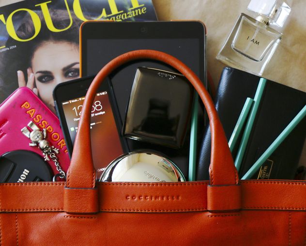 Typical Woman's Bag - Kostenloses image #183267