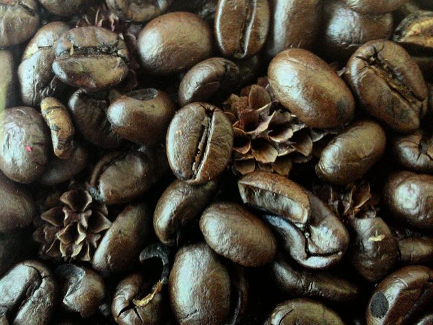 Coffee beans - image #183687 gratis
