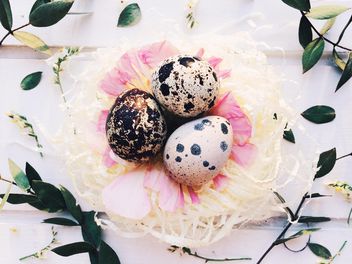Easter quail eggs - бесплатный image #184227
