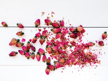 Dried rose buds - Kostenloses image #184237