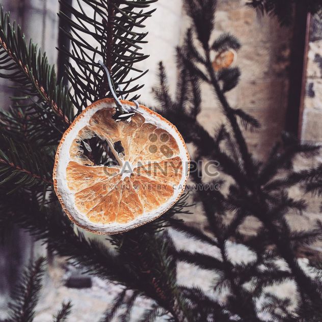 Dried orange on fir - бесплатный image #185637