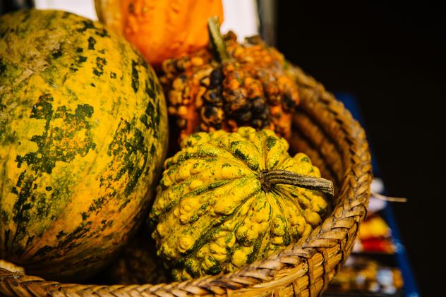 Close-up of pumpkins in basket - image #186187 gratis