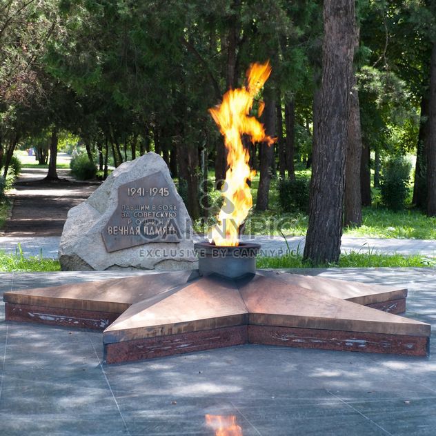 Eternal Flame, Lermontov city - image #186207 gratis