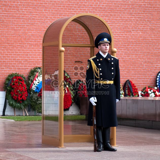 Guard in Alexander Garden - бесплатный image #186217