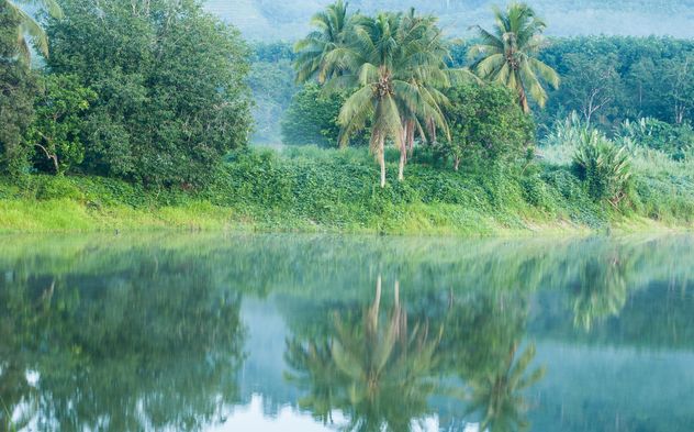 green trees reflected in water in the morning mist - image gratuit #186417 