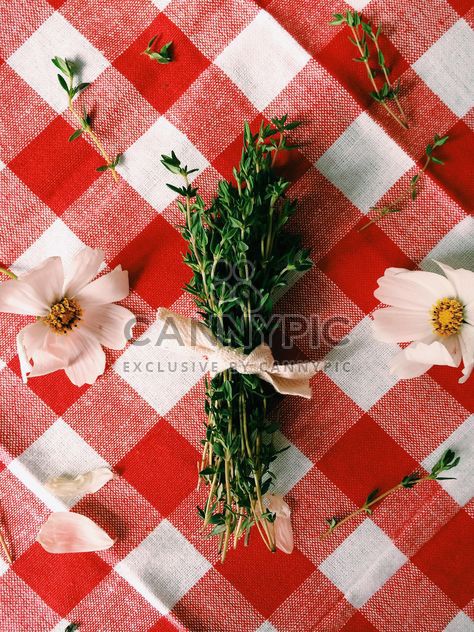 Bunch of thyme and white flowers - бесплатный image #186617
