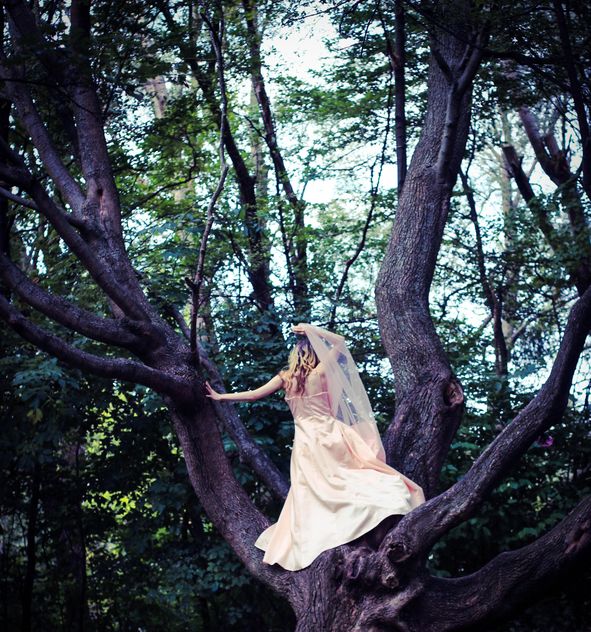 Girl in beautiful dress on the tree - image #187167 gratis